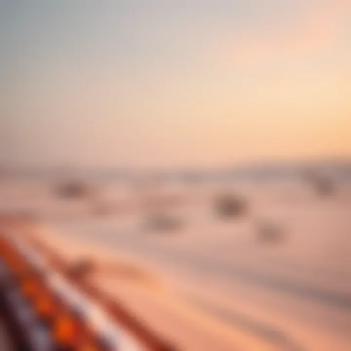 Winter in the UAE Desert Desert landscape in winter season