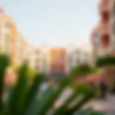 Vibrant community space in Yallais Dubai filled with greenery and recreation